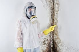 Altoona, PA Mold Removal Company